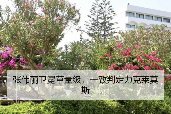 张伟丽卫冕草量级，一致判定力克莱莫斯